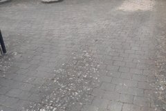 20200521_085400